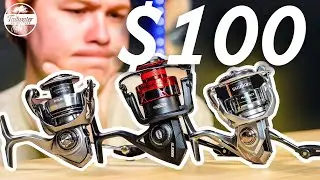 Best Spinning Reel for $100 in 2024 | Nasci VS Exceler LT VS Fierce IV
