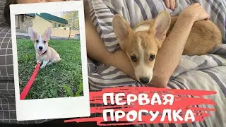 Архив | первомайские | у Гарри закончился карантин