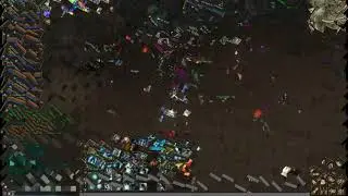 Asterios x5 (ММ/mystic Muse) 1 тренировка, поле, пвп/фан