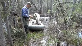 Пробная охота на омуте. Первый блин...