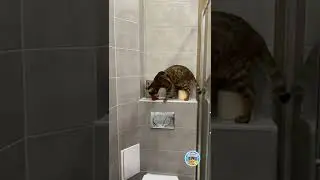 Понаставили, лечь негде