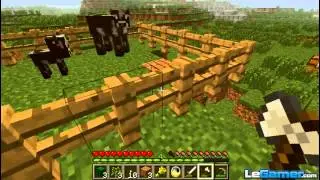 Ysto VS Wild - MineCraft - Épisode 06