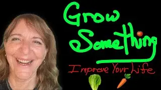 Real Food for Thought - Growing Some Vegetables to Benefit What You Eat that is Lacking Nutrients