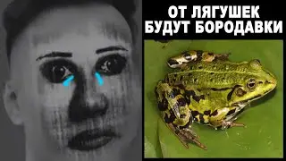 В это верили все...