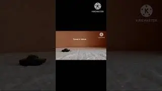 Танки во всех играх и в табсе: