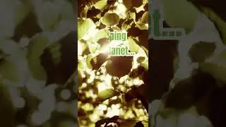 Unity Motivation: Day 13  