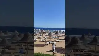 Пляж Parrotel lagoon resort 5* Шарм-эль-Шейх