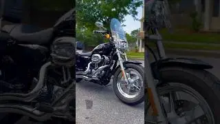 Harley Sportster 1200 idle, exhaust sound  #harleydavidson #bikes #shorts #motorcycle #2wheels