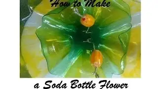 How to Make a Soda Bottle Flower