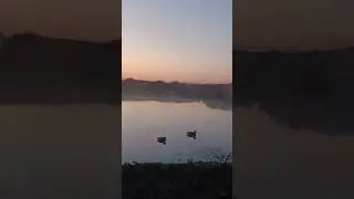 Открылись по водоплавающей дичи!🦆