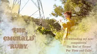 The End of Torpor for Flute and Cello, Crowdfunding Campaign Video