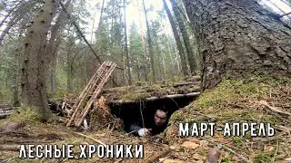 Лесные хроники. Яма и лагерь в лесу