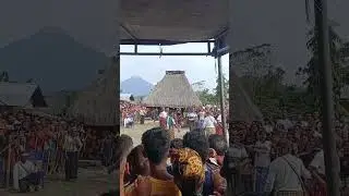 Ethu ,Tinju adat di FLORES 