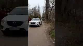 Где похоронен Юрий Хой. Могила лидера группы Сектор газа. Ноябрь 2022