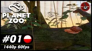 Nowy początek | #1 | Planet Zoo PL