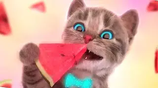Cute Kitten Little Cat Adventure - Play Fun Pet Care - Educational Games Purr Purr Stories 
