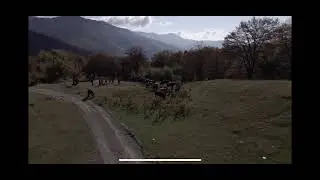 Drone crash