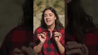 Comment cultiver ses tomates ? - Les tutos de Léa - ep1