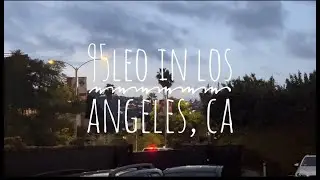 I WENT TO LOS ANGELES TO TRY TO PRODUCE A HIT SONG...