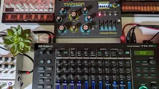 Test Dreadbox Typhon with Roland TR8S