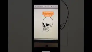 Procreate to Illustrator 