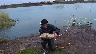РЫБА ЗАШЛА !!! САЗАН И АМУР !!!