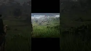 RDR 2 Ultra High Medium Low Graphics Comparison