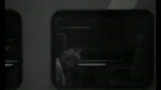 Hoodoo Dogs-My Baby`s Gone