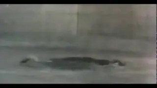 5IT