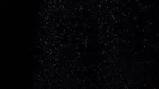 A bunch of little water bubbles rise in a black background in slow motion.