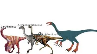 Ornithomimosauria Size Comparison (ft. @MarioLanzas.)