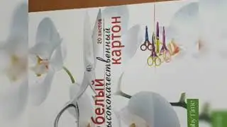 13 декабря 2020 г.