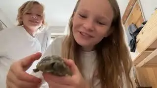 #squishy