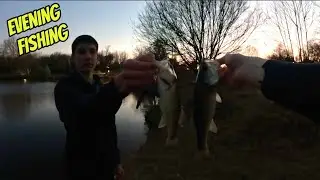 FISH After FISH While EVENING Spring BASS FISHING! 