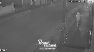 Женщина украла 3 туи на Профинтерна 31 28 3 2019 Ростов на Дону Главный