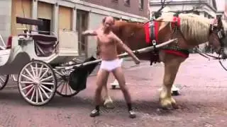 живой прикол