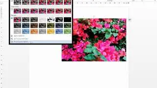 Mengubah Warna Foto (Microsoft Word)