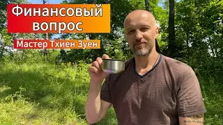 ФИНАНСОВЫЙ ВОПРОС. Мастер Thien Duyen.