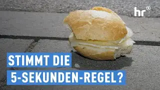 Lebensmittel von Boden – sind sie wirklich noch essbar? | Alles Wissen