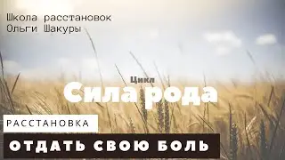 Расстановка отдать родовую боль и взять ресурс