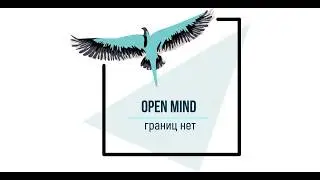 Представление команды OpenMind