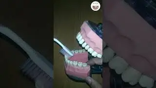 How to clean teeth - Dr Rajni - learn to do brush properly- modified bass technique