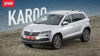 Skoda Karoq премьерный тест-драйв с Кириллом Бревдо