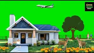 Green screen videos. Copyright free video. HD video. green background.