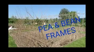 How to Build a BEAN & PEA Frame (2020)