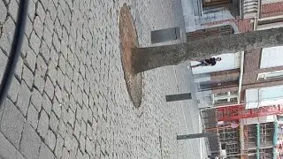 Dusart
