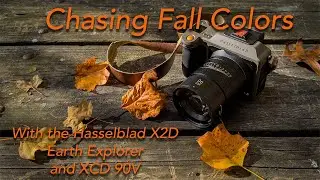Autumn with Hasselblad