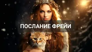 #Таро