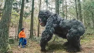 小男孩被野狼追杀，却被金刚救下了！【金刚归来KingKong is Coming Back】|驚悚 災難 |【電影派對】