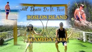 BOSLON ISLAND | ALAMEDA FARM | SIRIGAO DEL SUR | VICLAGS TV